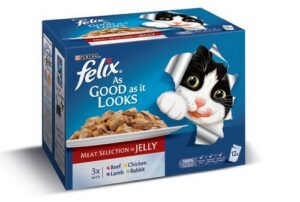 PURINA FELIX MIXED SELECTION IN JELLY 12X100 GRMS