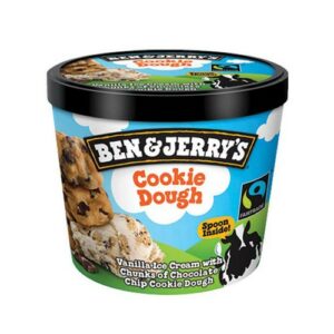 BEN & JERRYS CHOC FUDGE BROWNIE 100 ML