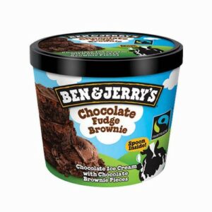 BEN & JERRYS NON DAIRY CHOC FUDGE BROWNIE 100 ML
