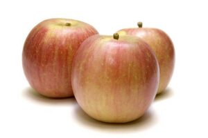 APPLES FUJI