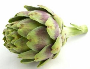 ARTICHOKES GLOBE