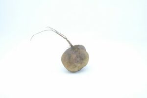 BEETROOT