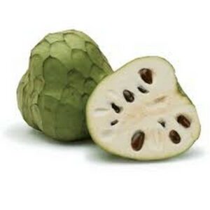 CHERIMOYA