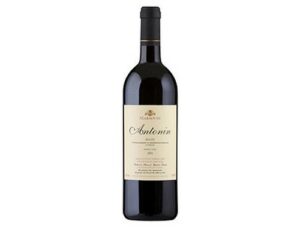ANTONIN ROUGE 375 ML