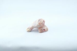CHICKEN DRUMSTICKS