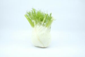 FENNEL