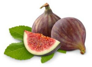 FIGS FRESH