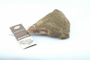 FIORUCCI GUANCIALE