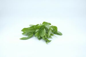 BASIL