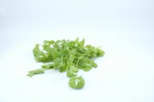 CORIANDER