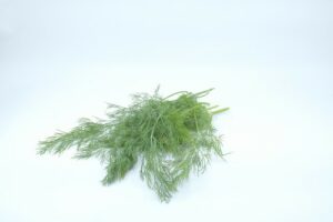 DILL