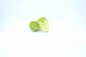 BABY LETTUCE