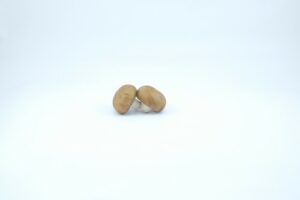CHESTNUT MUSHROOMS