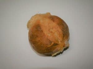 TRADITIONAL MALTESE BUN