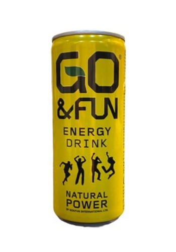 GO & FUN LEMON GINGER 250 ML